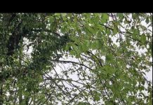 U toku radovi na putu Kamenje–Husići: MZ Kosova unapređuje lokalnu putnu infrastrukturu